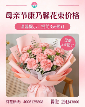 九江花店母亲节康乃馨花束