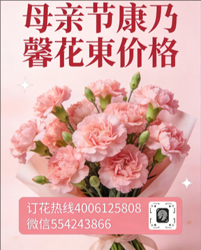 九江花店母亲节康乃馨花束